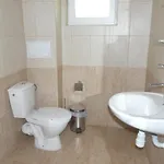 семеен детелини